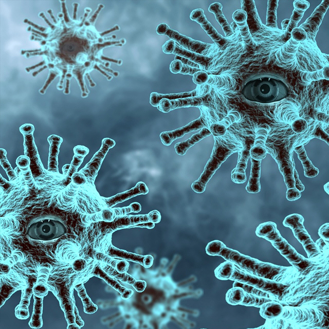 license : https://pixabay.com/ko/photos/%EC%A0%84%EC%97%BC%EB%B3%91-%EC%BD%94%EB%A1%9C%EB%82%98-%EC%88%A8%EC%96%B4-%EC%88%99%EB%B0%95-%ED%99%88-4952933/