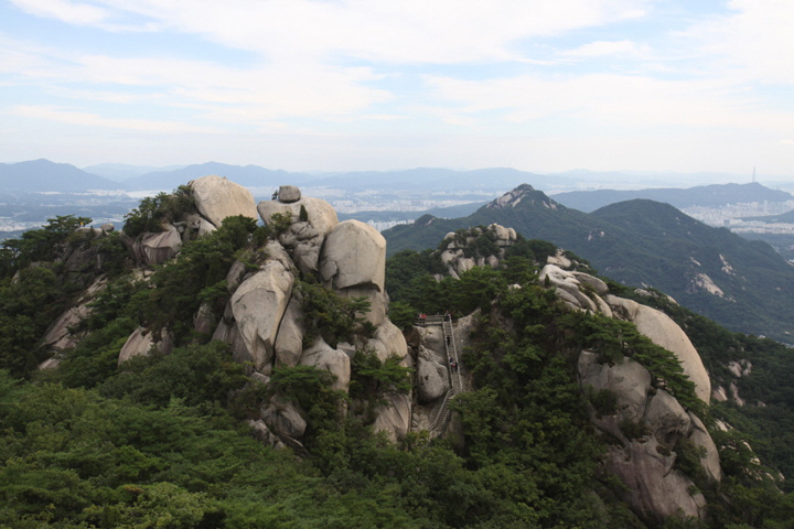 license : Arthur's picture