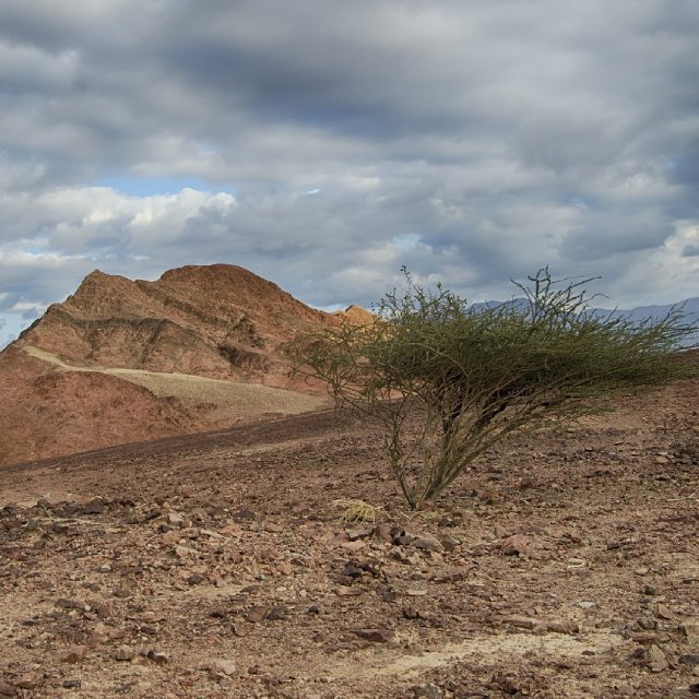 license : https://pixabay.com/ko/photos/%EB%84%A4%EA%B2%9D%EB%A7%89-%EA%B4%91%EC%95%BC%EC%9D%98-%EB%B0%A9%ED%99%A9-%EC%9D%B4%EC%8A%A4%EB%9D%BC%EC%97%98-4765422/